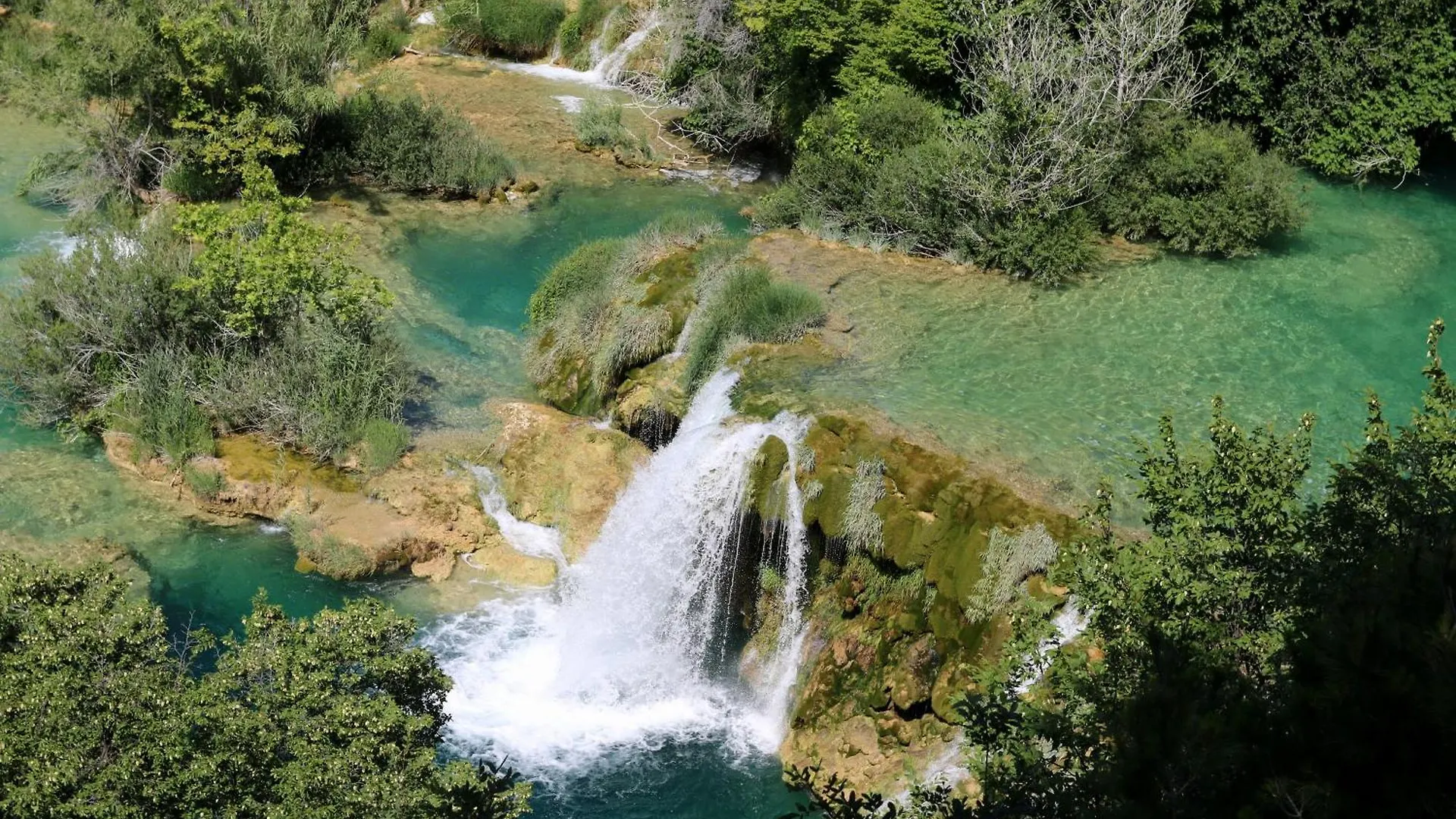 Kuca Za Odmor U Masliniku Villa Lisane Ostrovicke